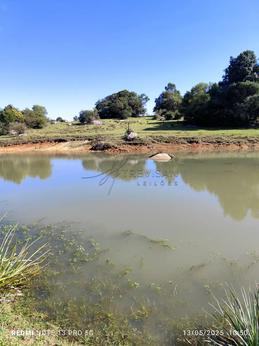 LOTE 001 - 4.2 hectares de Campos e Matos