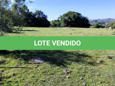 LOTE 001 - 4.2 hectares de Campos e Matos