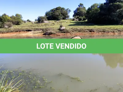 LOTE 001 - 4.2 hectares de Campos e Matos