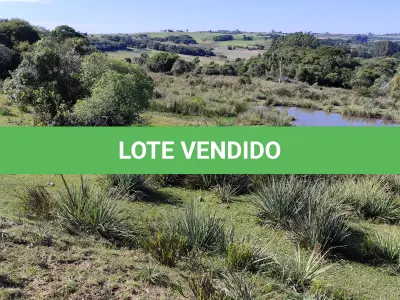 LOTE 001 - 4.2 hectares de Campos e Matos