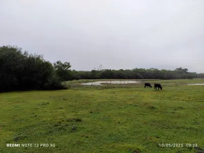 Sítio com 21 hectares, com casa de moradia, na localidade de Lima Brandão / Rio Pardo, RS.