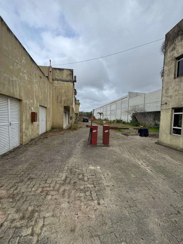 Foto 4