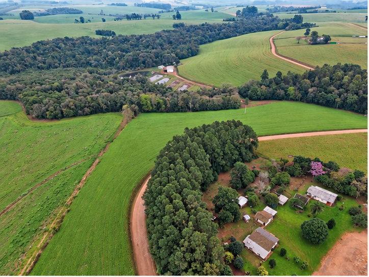 120,10 HECTARES — FAZENDA SARANDI - TERRAS RURAIS COM BENFEITORIAS E TERRENO URBANO — SARANDI/RS